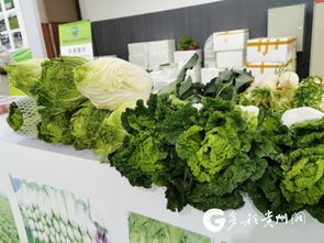 多彩貴州網(wǎng) 經(jīng)濟頻道