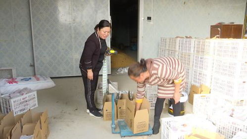 農產品可溯源 超10萬農業生產主體有了專屬 身份證