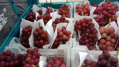 深讀 疫情之下,農(nóng)產(chǎn)品如何 暢銷