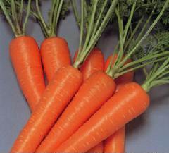 單縣建國農(nóng)產(chǎn)品購銷中心