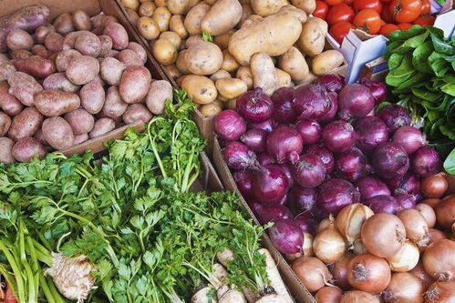 農業農村部 明年國內農產品市場有望繼續保持穩定