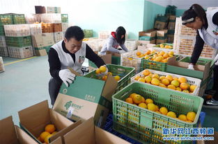 江西于都縣 互聯網 拓寬農村創業路