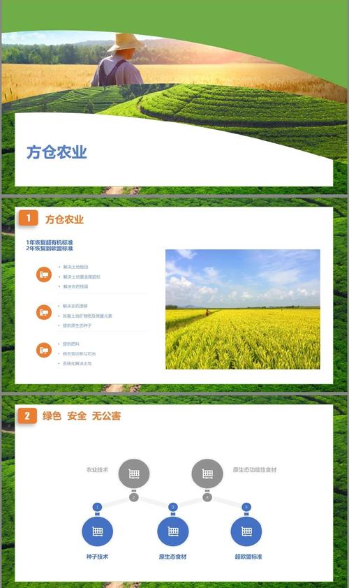 寫美篇一是農業品牌建設要針對農業特性和農產品生產各環節的需要