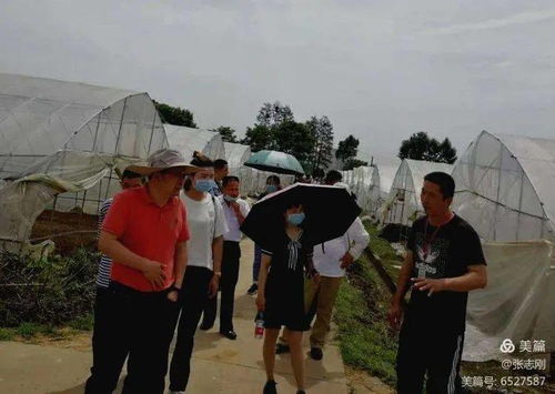 國企聯村共創共享 產業對接人才共育