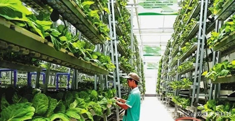 垂直農業,糧食生產的未來