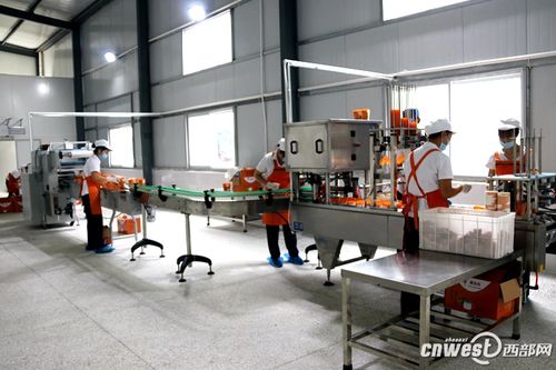 "健康農產品陜西行探訪團"成員參觀華興公司生產加工車間.