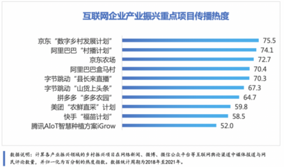 互聯網助力鄉村振興社會價值幾何?社科院首份報告作出評估