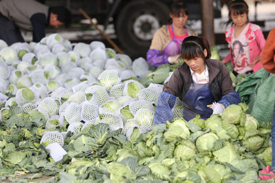 我國農產品批發市場現狀及發展趨勢分析