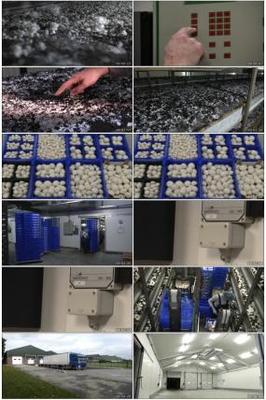 農(nóng)產(chǎn)品包裝視頻素材下載, 農(nóng)產(chǎn)品包裝AE模板下載