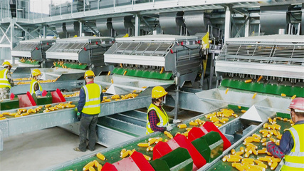 【喜迎二十大】高臺:做大做強(qiáng)精深加工產(chǎn)業(yè)鏈 讓農(nóng)產(chǎn)品“七十二變”