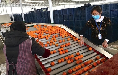 2月份農(nóng)產(chǎn)品網(wǎng)銷超4億!內(nèi)江發(fā)力線上銷售解農(nóng)戶后顧之憂