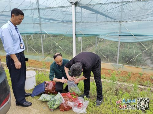樂安縣南村鄉(xiāng)開展農(nóng)產(chǎn)品質(zhì)量安全監(jiān)督抽查 圖