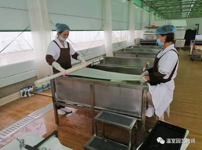 探秘京東植物工廠:產銷一體化,破解農產品銷售難題!