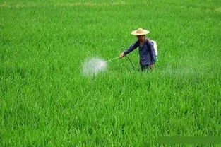 專家呼吁解決科學安全用藥 最后一公里