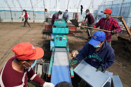 一年之計在于春 疫 樣的春天,別樣的春耕新事