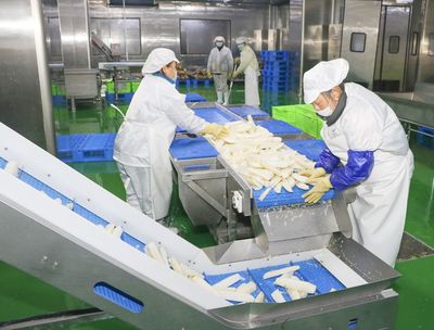 點“綠”成金繪新景 --濱海培育生態農業彰顯惠民本色