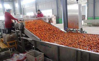 案例|英雄莫問出處!1年賣個1億的農產品經紀人是這樣煉成的