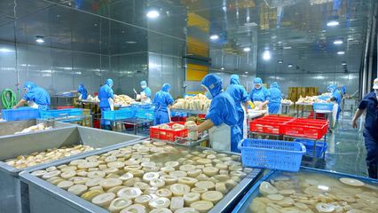 益陽市| 桃江:一根竹子撬動綠色富民大產業