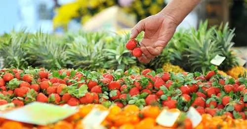 作為“新型職業農民”的你具備這兩個基本素質了嗎?!