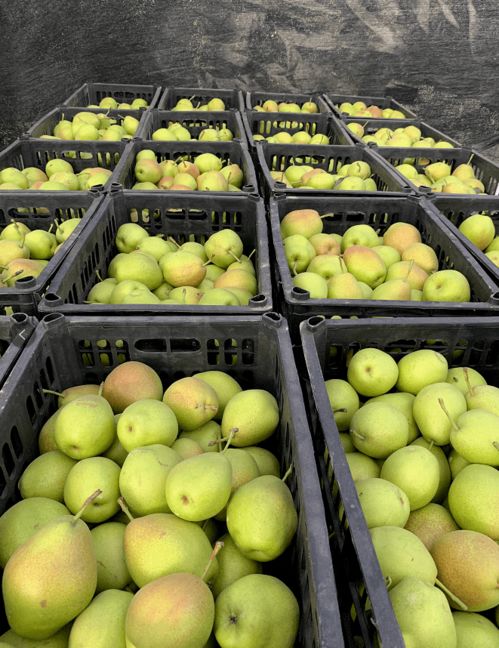 農業人的無聲焦慮 無法漲價的農產品該如何解