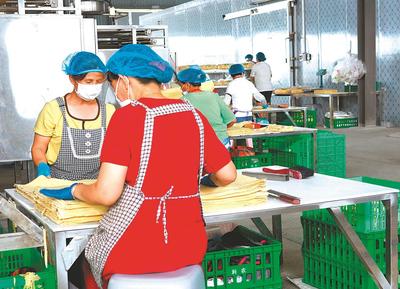 定遠縣建設14個鄉鎮產業園區,把工廠車間搬到田間地頭