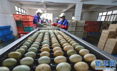 九江瑞昌:返崗復工生產忙