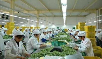 想回農村創業,推薦幾個適合農村的小投資辦廠項目