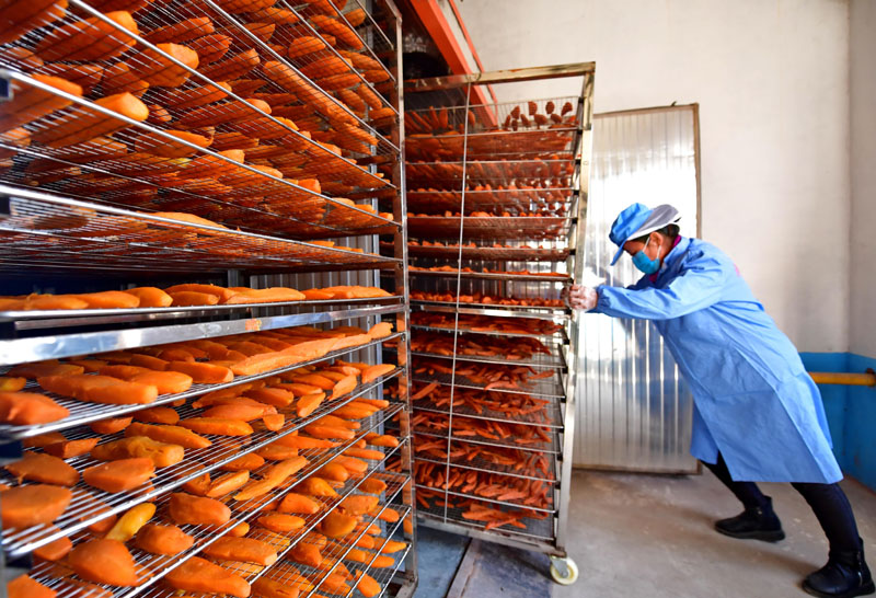 河北灤州:農產品深加工“大商機”