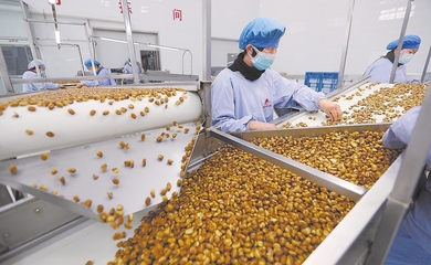 饒陽之行,創業致富新途徑