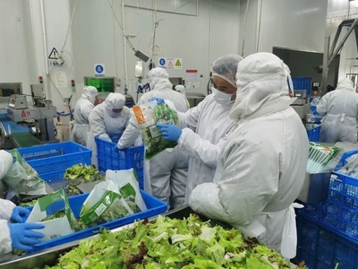 棒!金山這個集體獲得了這項榮譽