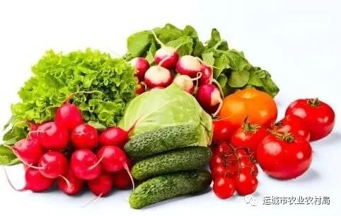 關于印發運城市試行食用農產品合格證制度實施方案的通知