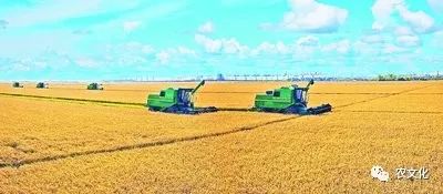 如何推進農業高質量發展