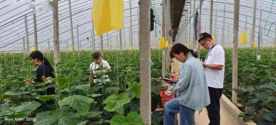 夏邑縣農業農村局開展國慶節前農產品質量安全風險監測