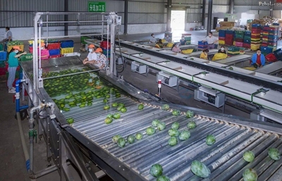 目標已定!現代農業園區如何建?市委書記賈瑞云強調了這些內容!