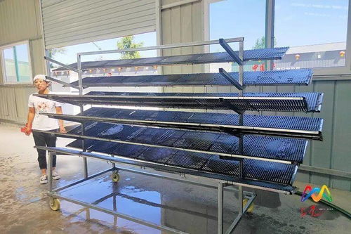 西池鄉丨辦起加工廠,拓寬致富路