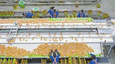 “贛字號”農(nóng)產(chǎn)品何以“出圈”