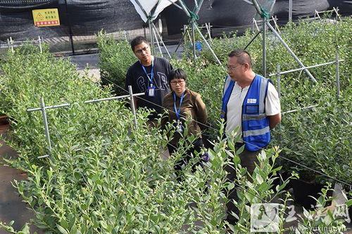 玉溪市創(chuàng)建全省全國文明城市 玉溪網(wǎng)