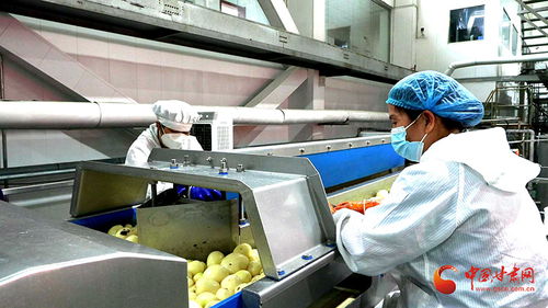 山丹 拓展農(nóng)產(chǎn)品加工轉(zhuǎn)化空間 延伸農(nóng)業(yè)產(chǎn)業(yè)鏈條