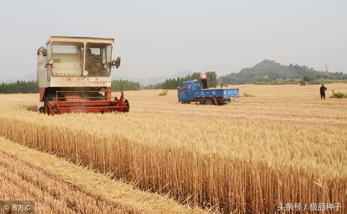 農(nóng)民朋友注意了,2018年農(nóng)業(yè)補貼發(fā)生重大變化
