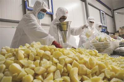 克東縣發(fā)展農(nóng)產(chǎn)品深加工