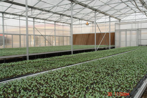 現代農業重繪塞上山川