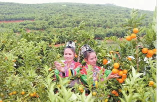 快來力挺 云南 特優區 公示名單出爐 祿勸這好東西上榜