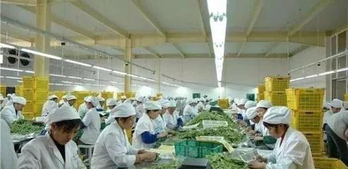 想回農村創業,推薦幾個適合農村的小投資辦廠項目