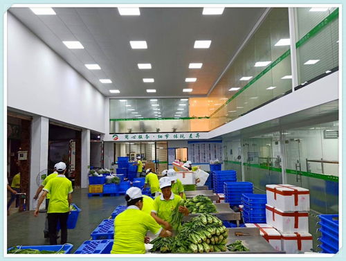 東坑鎮工廠農產品配送服務好