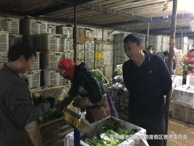食品安全|大漁街道開展農產品生產質量安全專項檢查_財經_網