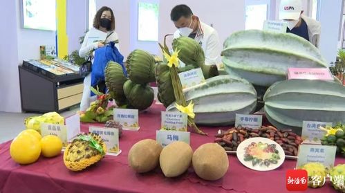 瓊海六大類23個品種亮相今年冬交會