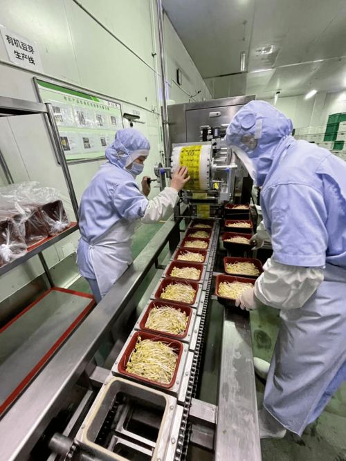 跟著節氣尋味京城農產品 立春時節春餅香