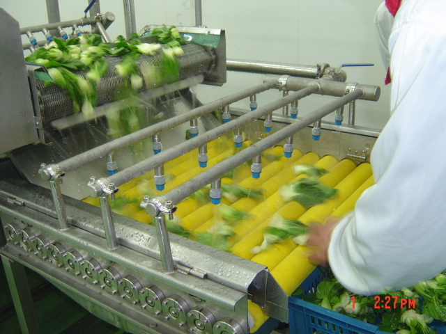 河南凈菜加工生產線生產廠家