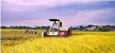 念好 鄉賢經 振興添動力丨天臺這個村發揮鄉賢作用,受到浙報表揚