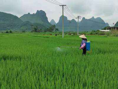 我市開展2021年耕地生產障礙修復工作,保障農產品質量安全